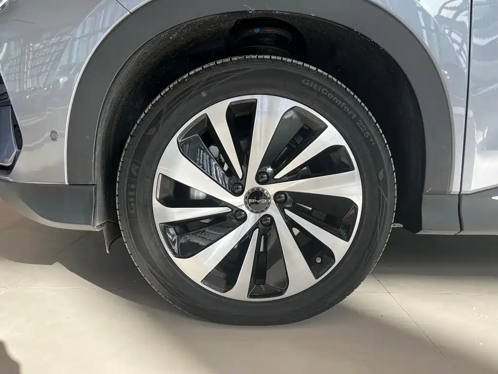 BYD SONGJIANG NEW ENERGY