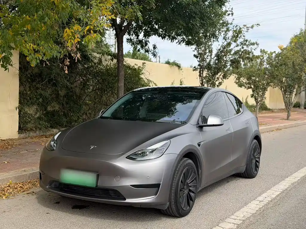 Tesla Model Y — миниатюра 2