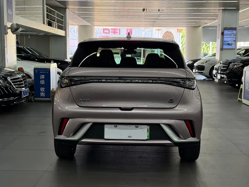 BYD Dolphin — миниатюра 12