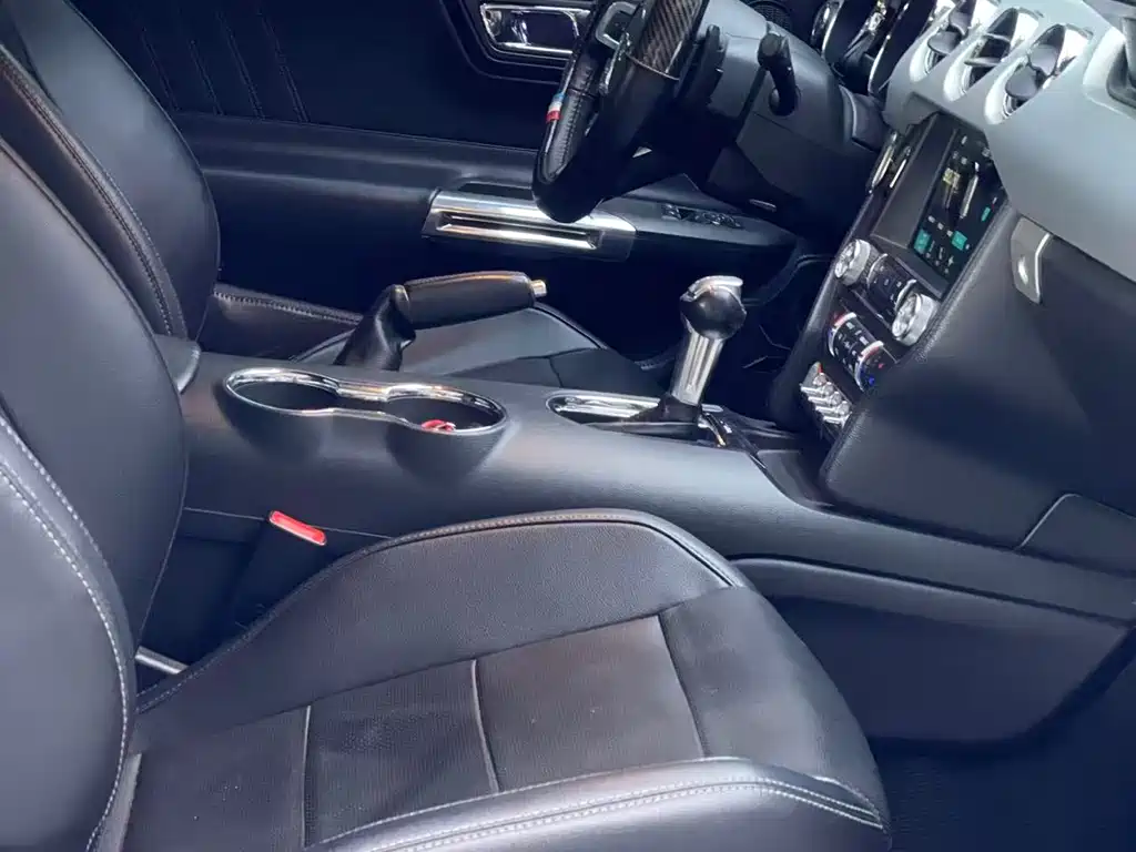Ford Mustang 2.3T Performance Edition, фото 12