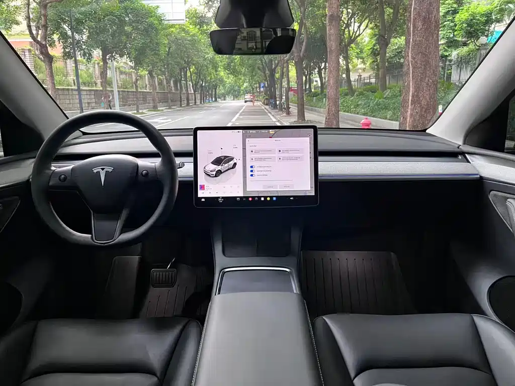 Tesla Model Y — миниатюра 8