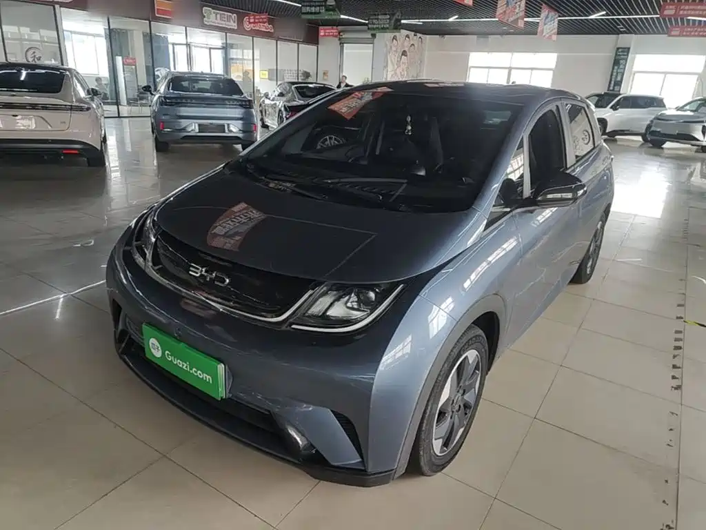 BYD Dolphin — миниатюра 2