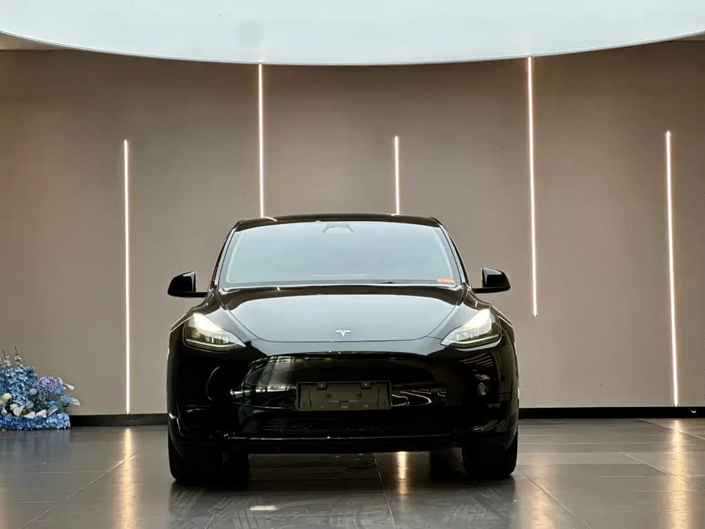 Tesla Model Y — миниатюра 2