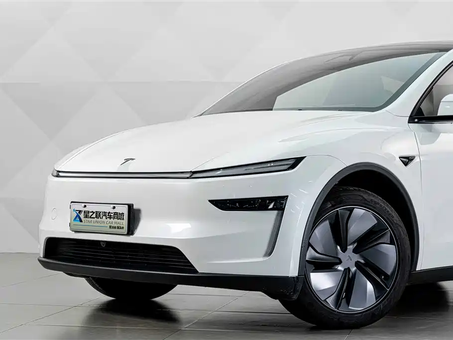 Tesla Model Y — миниатюра 4
