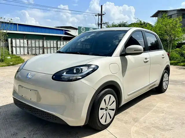 2023 Wuling Motors Binguo
