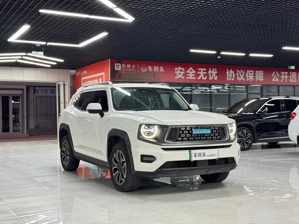 Haval Плюс новая энергия. — миниатюра 4