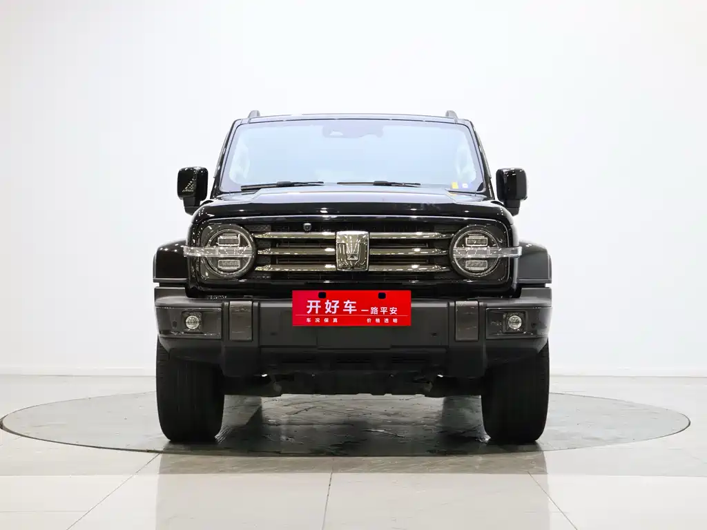 Tank 300