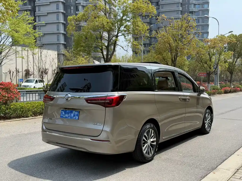 Buick GL8 — миниатюра 6