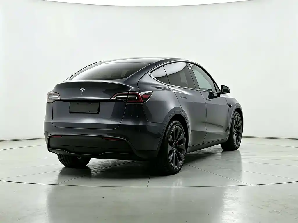 Tesla Model Y — миниатюра 9