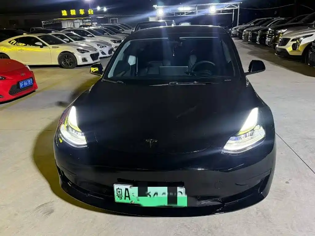 Tesla Model 3 — миниатюра 2