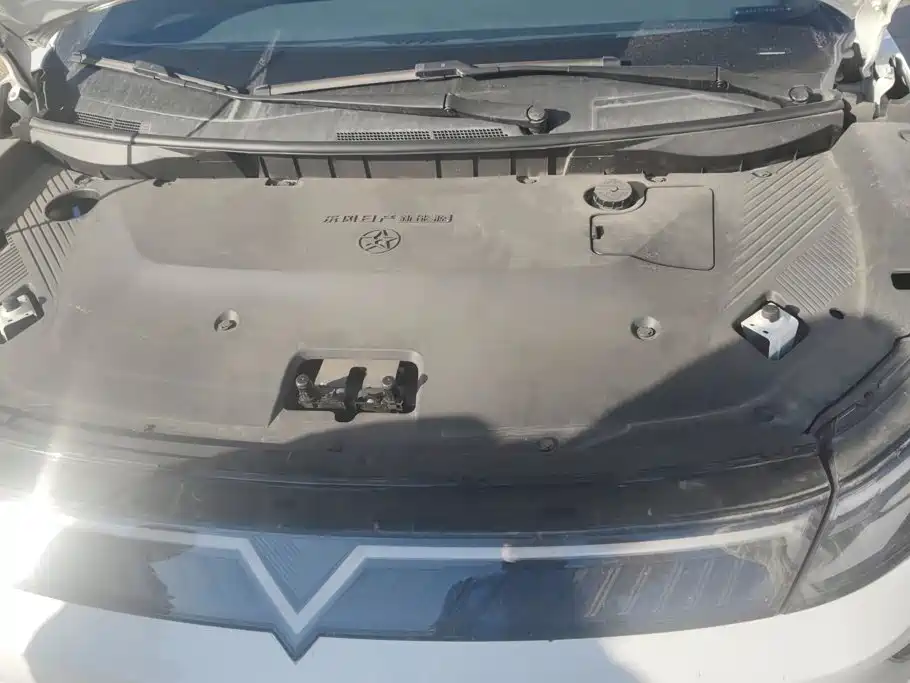 Venucia VX6 — миниатюра 10