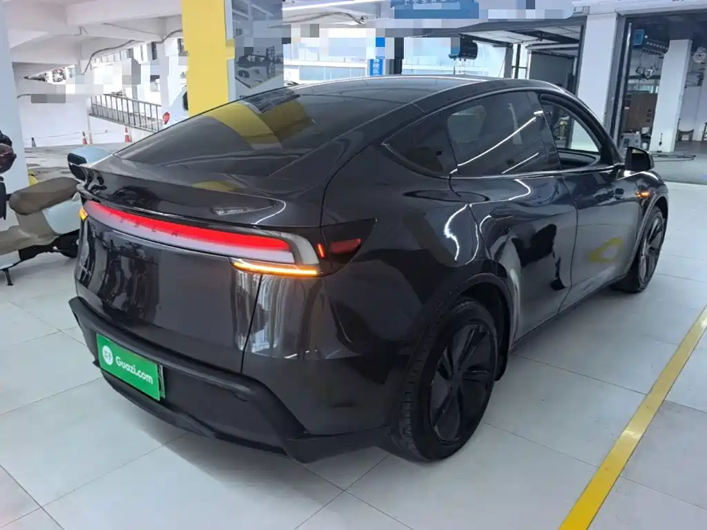 Tesla Model Y — миниатюра 7