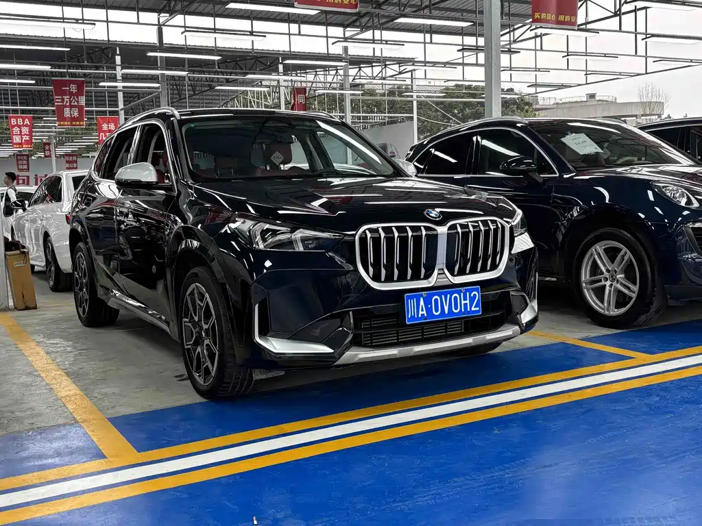 BMW X1 — миниатюра 2