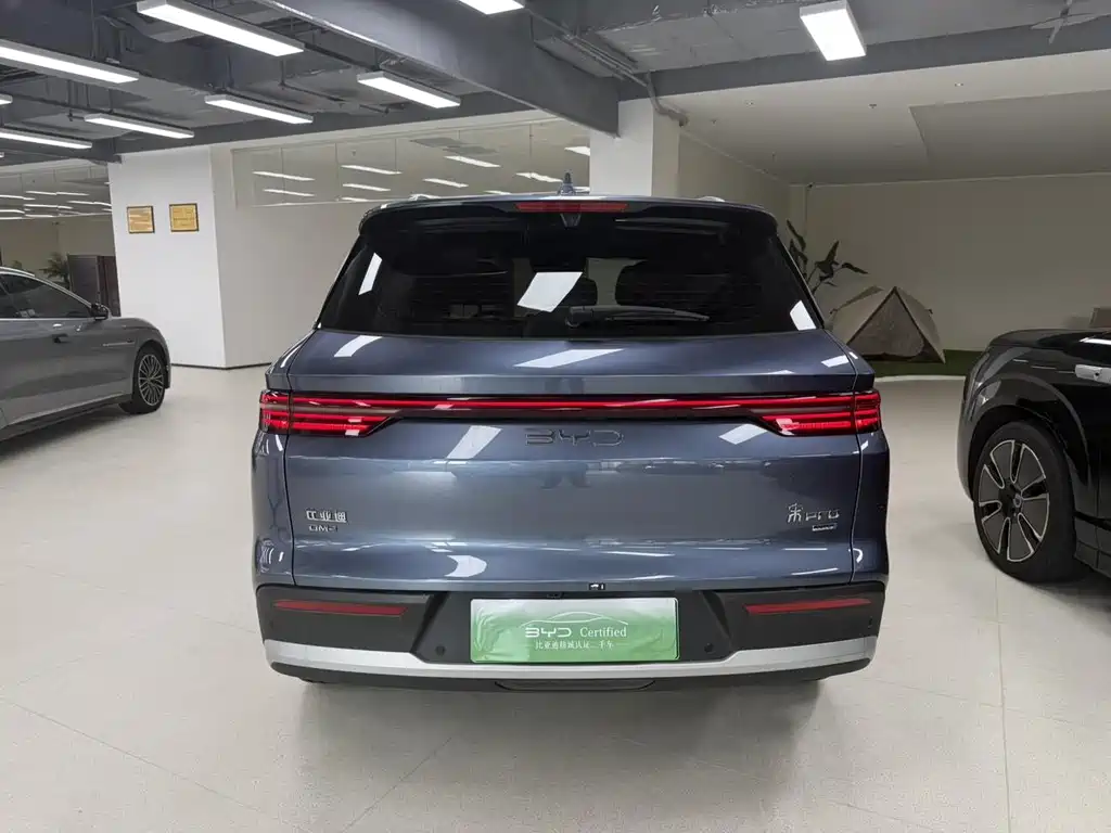 BYD Pro New Energy — миниатюра 5