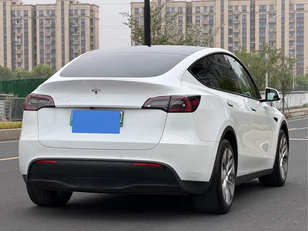Tesla Model Y — миниатюра 10