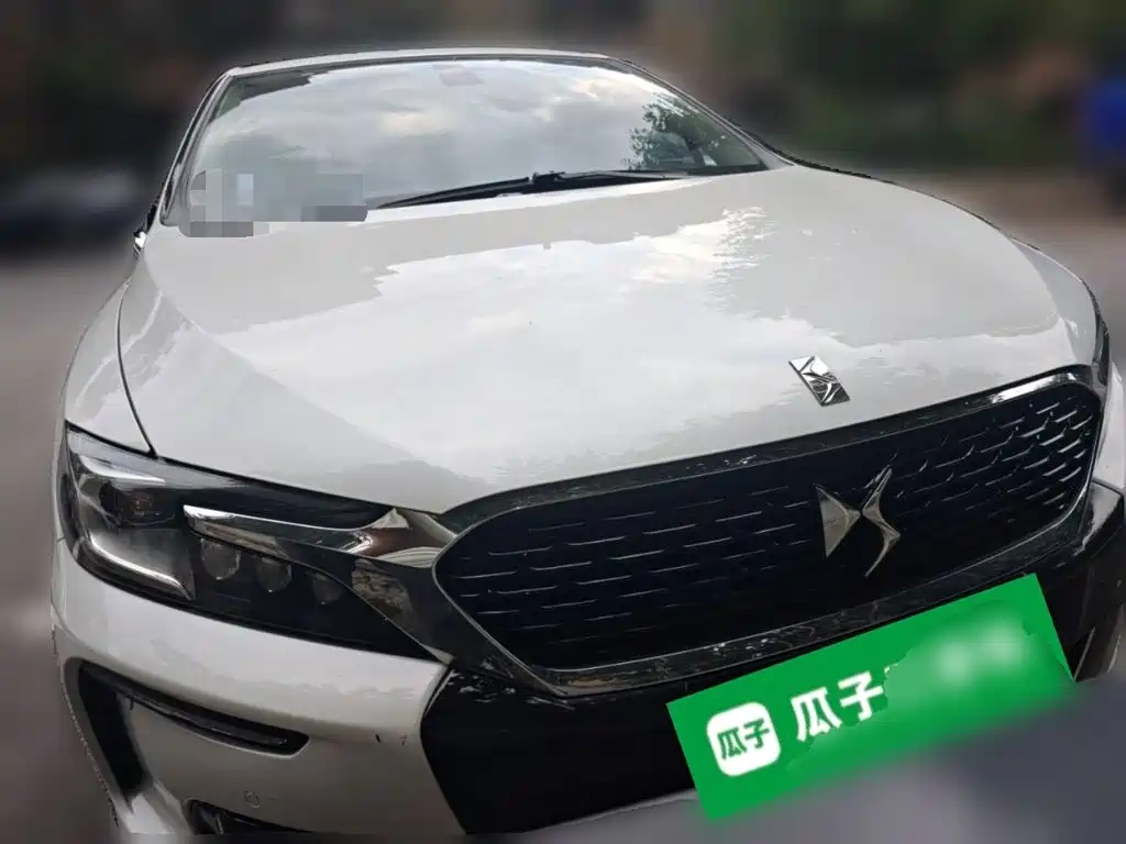 DS DS 4S — миниатюра 2