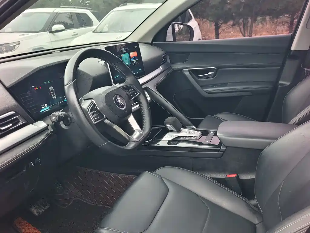 BYD Pro — миниатюра 4