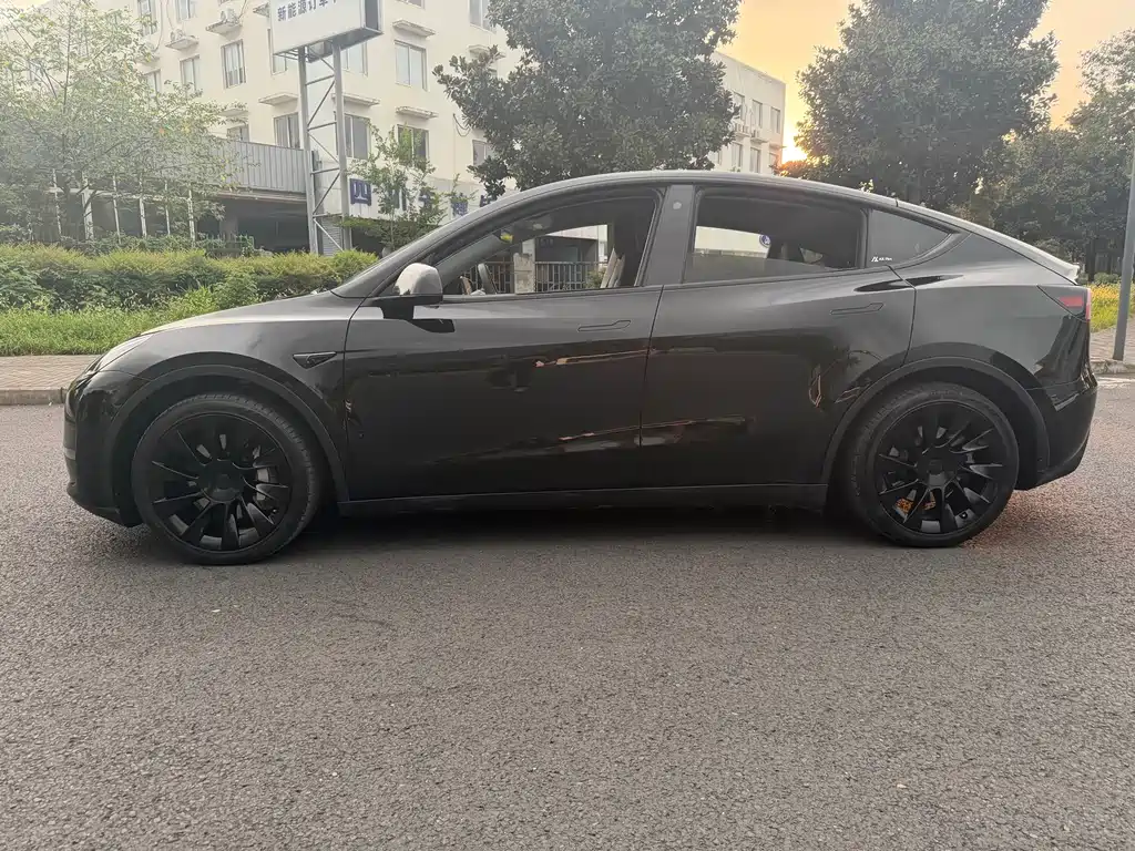 Tesla Model Y — миниатюра 4