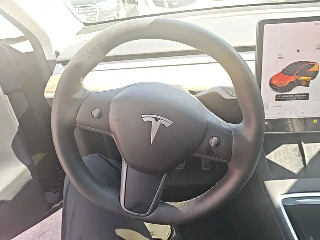 Tesla Model Y — миниатюра 11