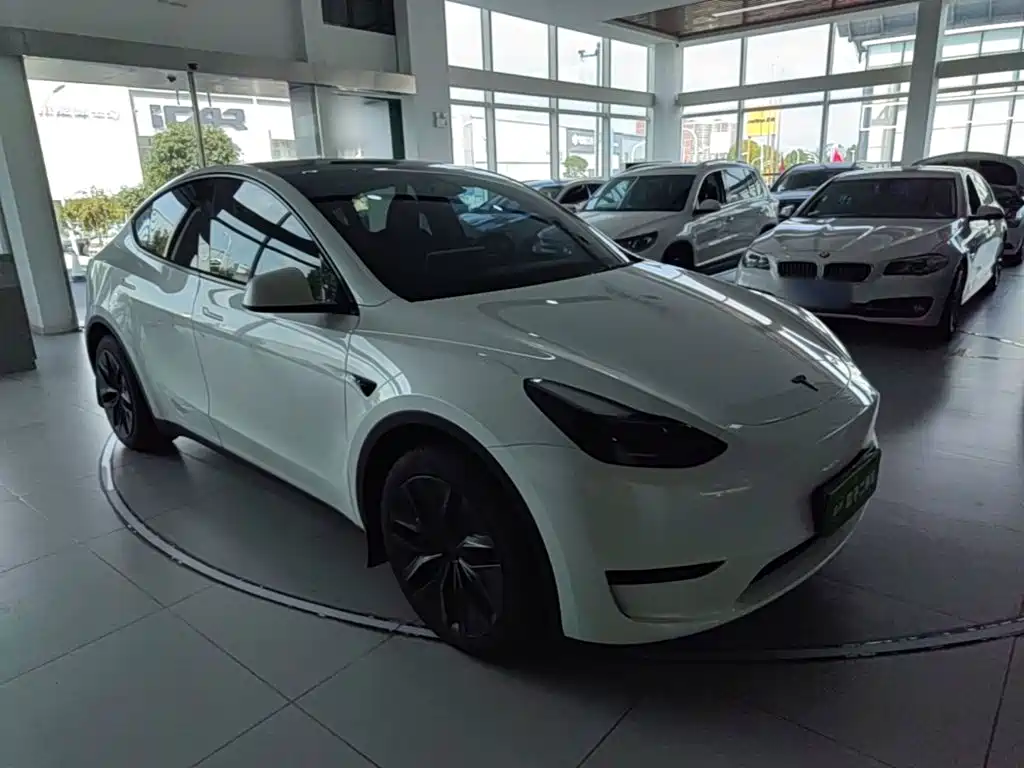 Tesla Model Y — миниатюра 4