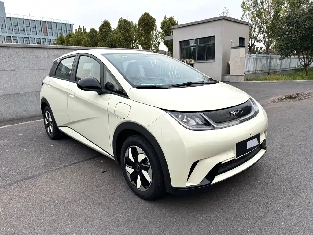 BYD Dolphin — миниатюра 3