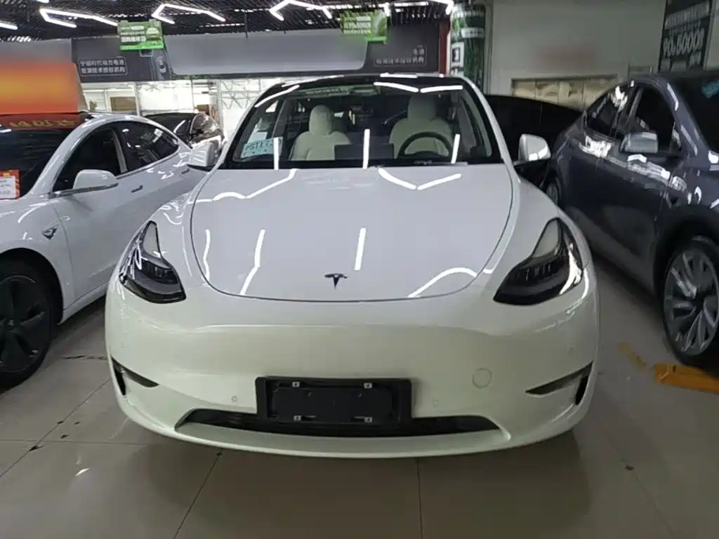 Tesla Model Y — миниатюра 3