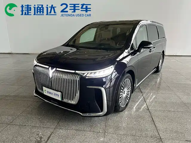 2025 Voyah Dream