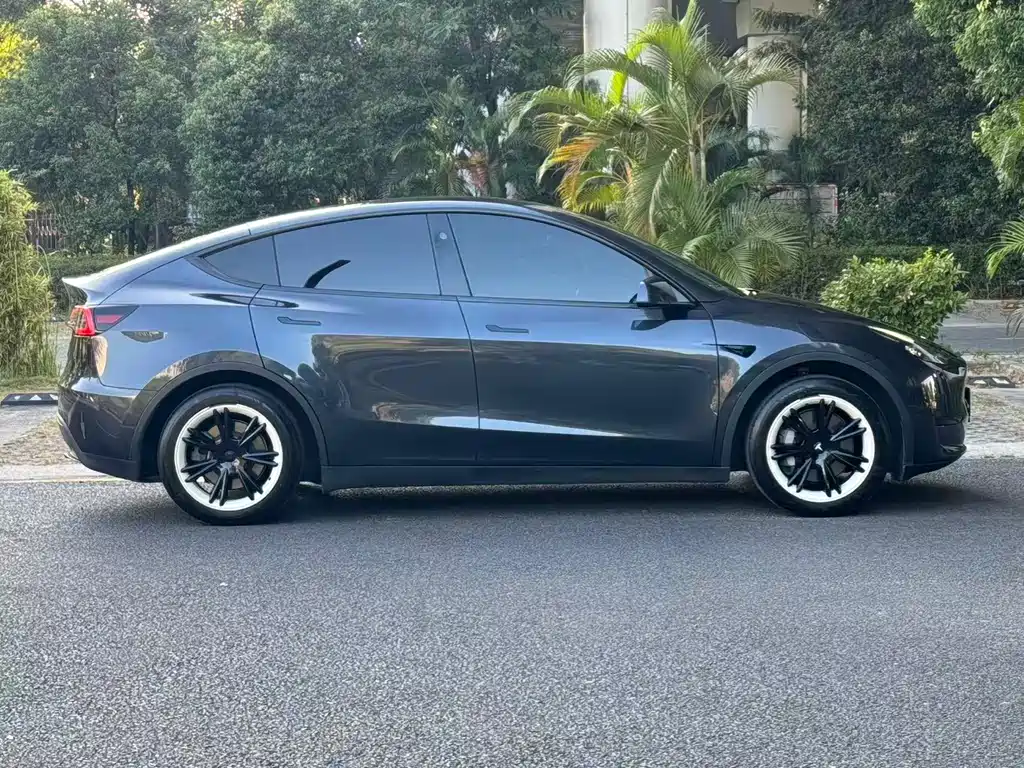 Tesla Model Y — миниатюра 16
