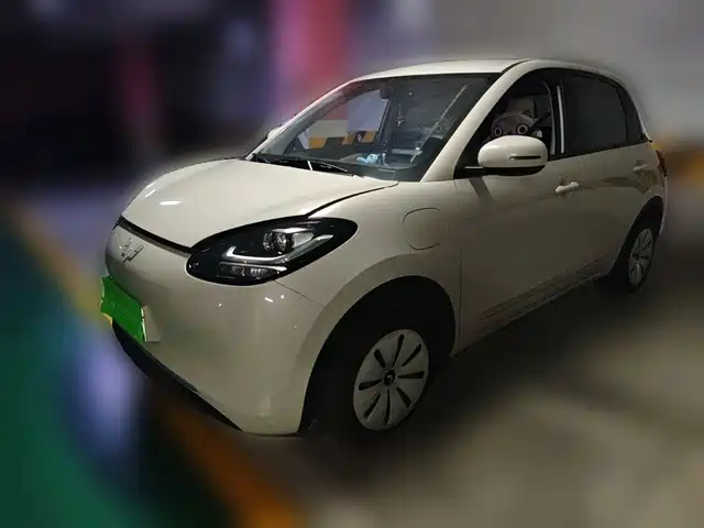 2024 Wuling Motors Binguo
