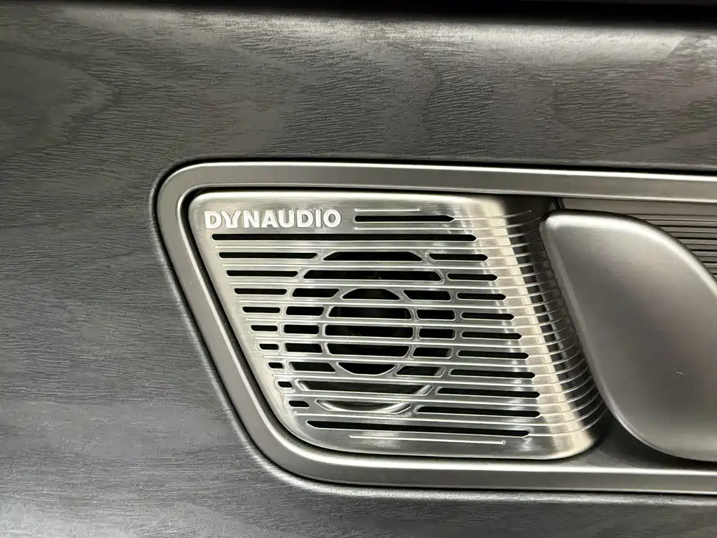 Denza Denza D9 — миниатюра 19