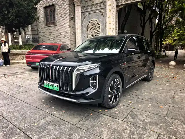 2024 Hongqi HS7