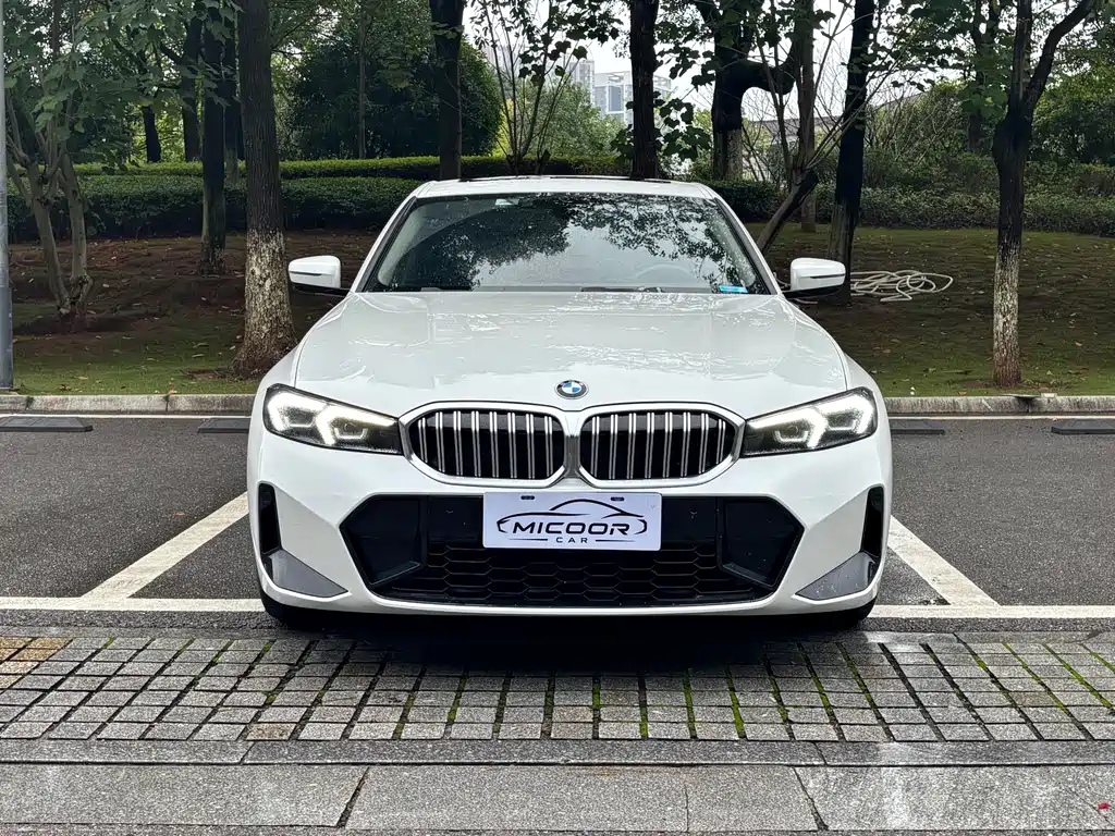 BMW 3 Series — миниатюра 2