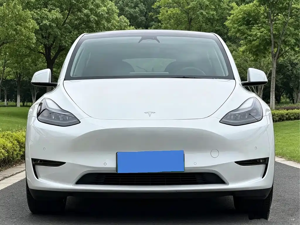 Tesla Model Y — миниатюра 2