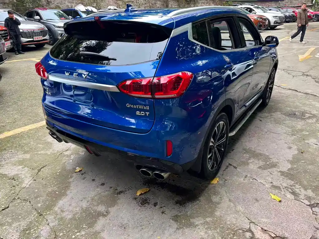 WEI PAI WEI BRAND VV6