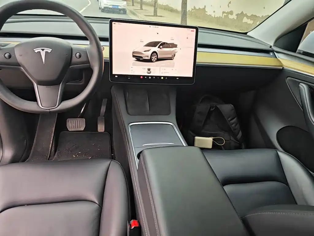 Tesla Model Y — миниатюра 13