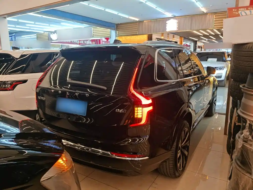 Volvo XC90 — миниатюра 7