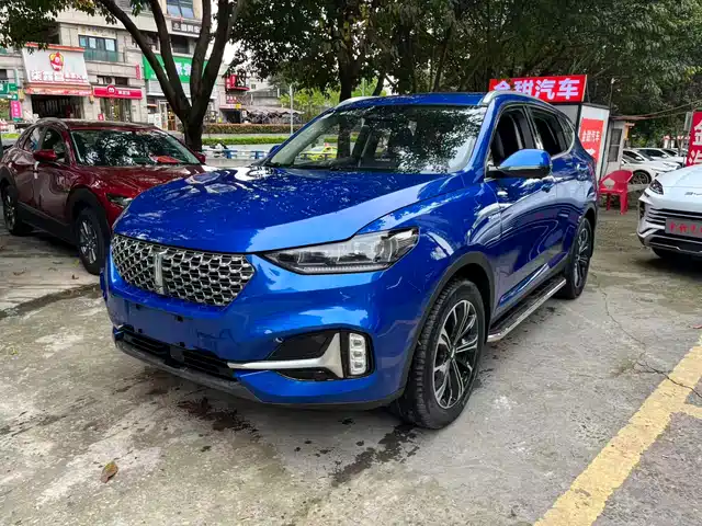 WEI PAI WEI BRAND VV6 2021