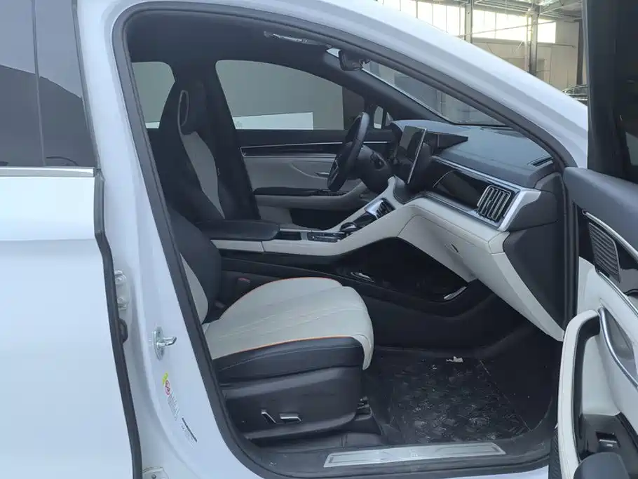 BYD PLUS New Energy — миниатюра 8