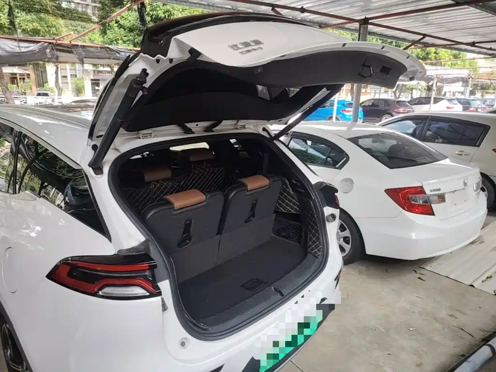 BYD Tang New Energy — миниатюра 19