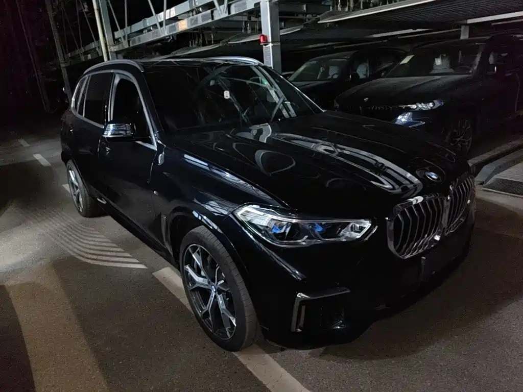 BMW X5 — миниатюра 4
