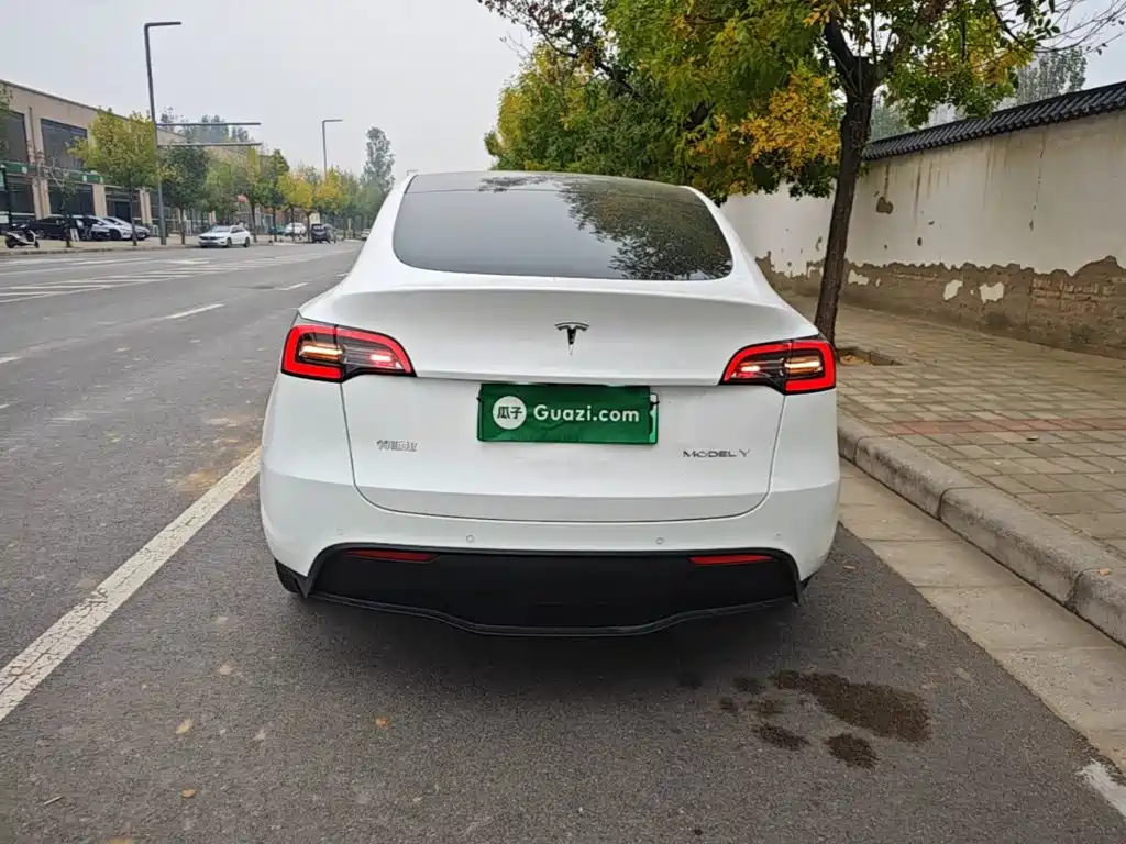 Tesla Model Y — миниатюра 6
