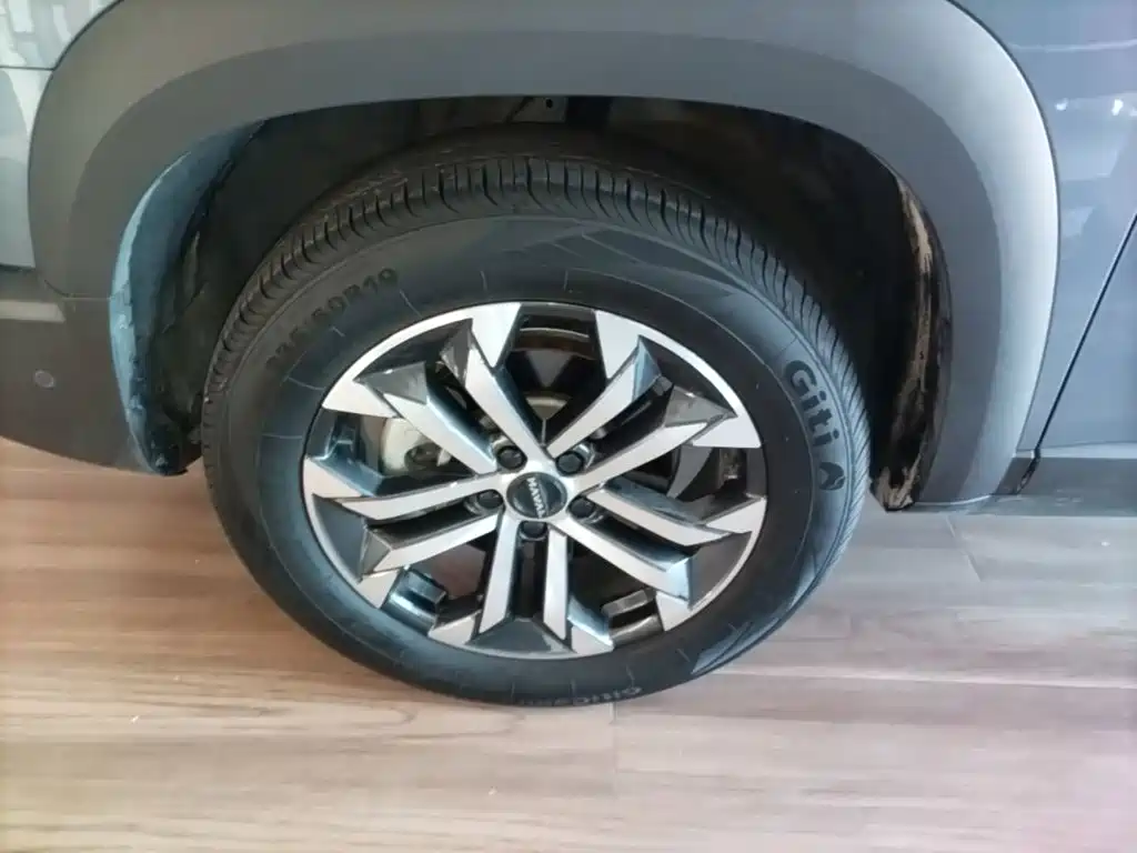 Haval Big Dog — миниатюра 23