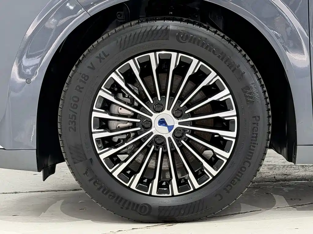 Denza Denza D9 — миниатюра 11