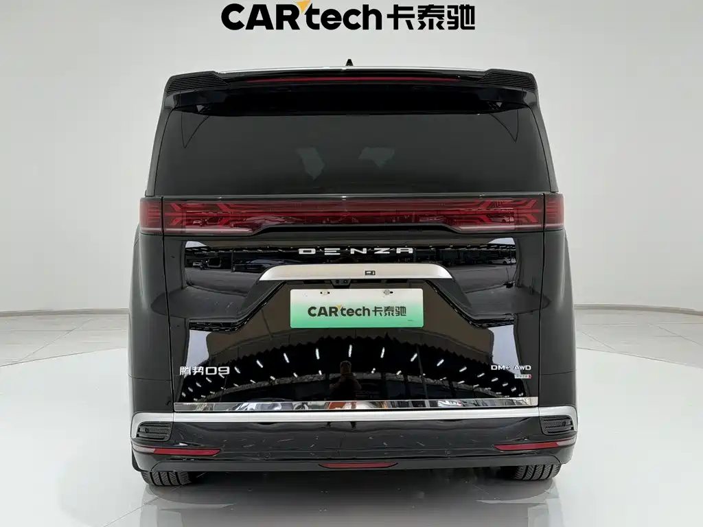 Denza Denza D9 — миниатюра 6