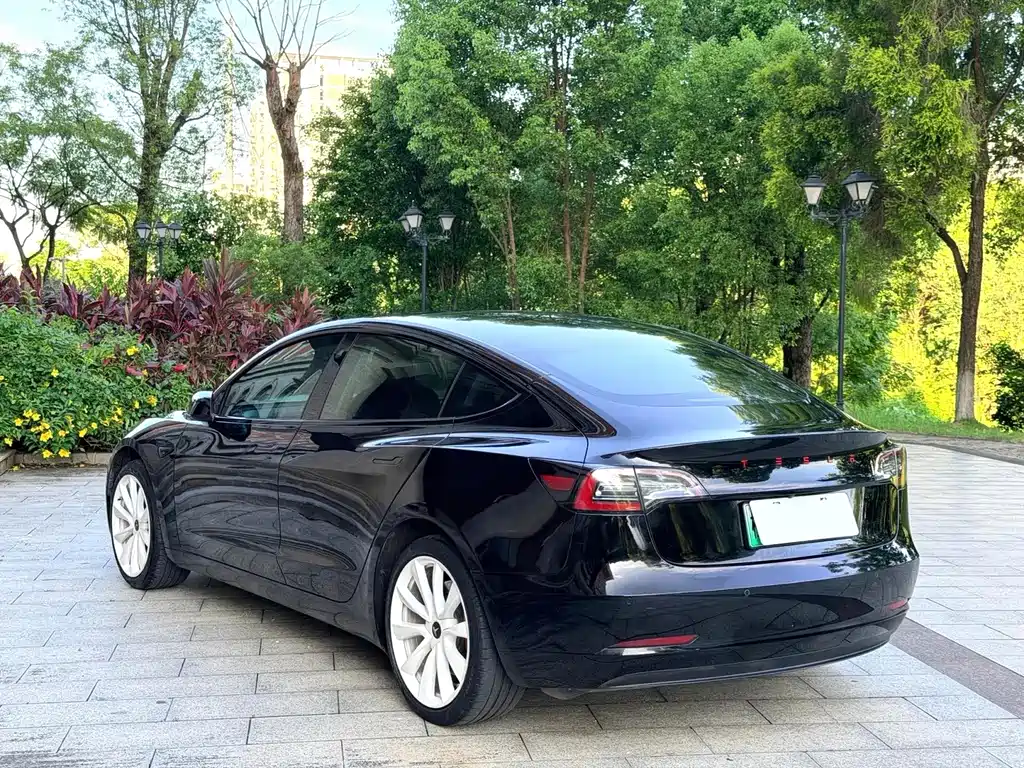 Tesla Model 3 — миниатюра 15