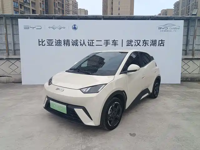 BYD Seagull