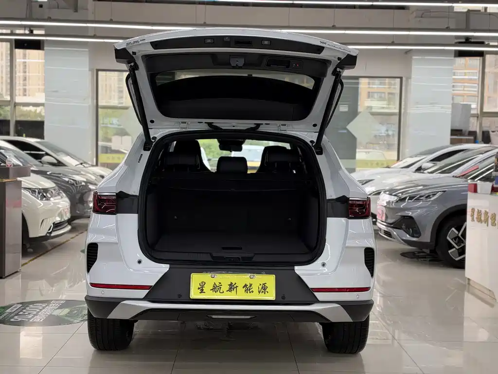 BYD PLUS New Energy — миниатюра 8