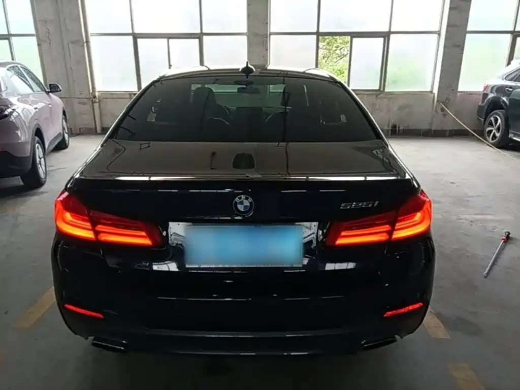 BMW 5 Series (Import) — миниатюра 6