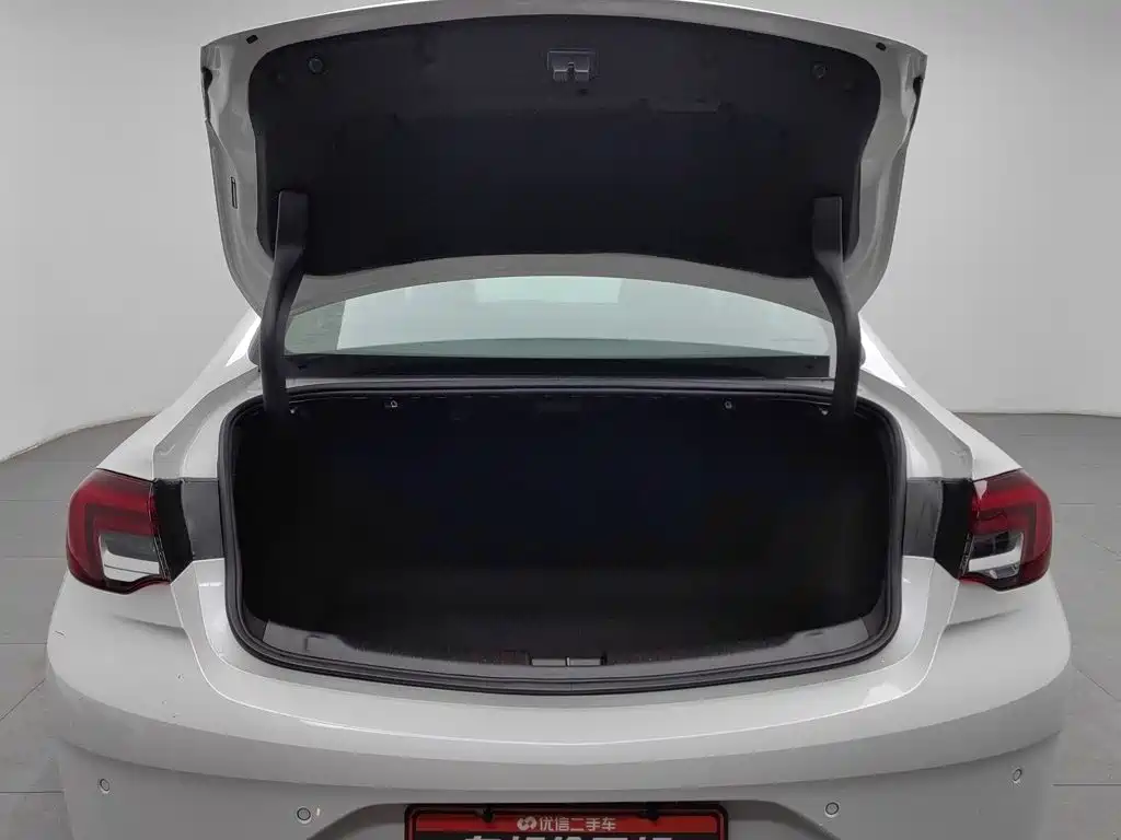 Buick Regal — миниатюра 16