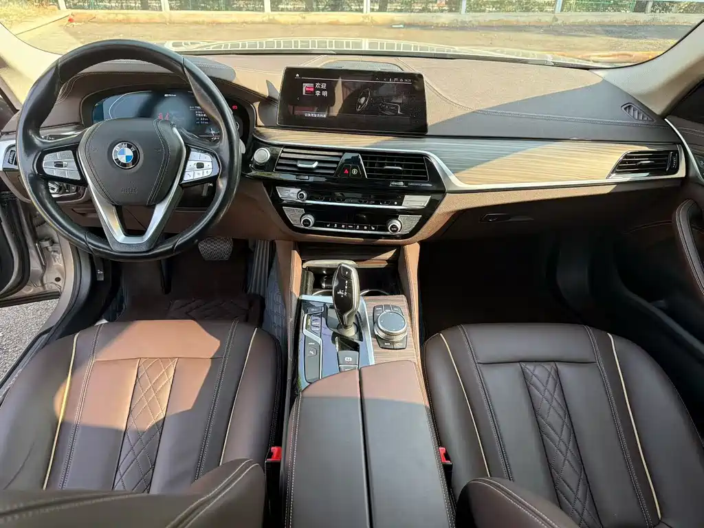 BMW 5 SERIES NEW ENERGY